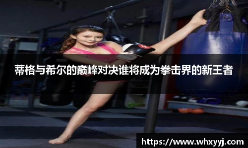 蒂格与希尔的巅峰对决谁将成为拳击界的新王者